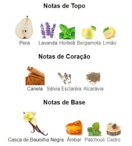 Pirâmide Olfativa (Perfume Inspirado)